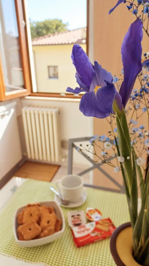 Casa Lilly Appartement Porto SantʼElpidio Buitenkant foto